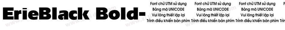 ErieBlack Bold字体转换